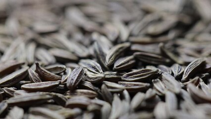 Poster - natural dried cumin seeds rotate in a circle. side view