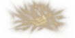 Gold pile sand background. Abstract dune. Golden colored splash against dark backdrop. Plume texture crumbs. Jewelry dust.png