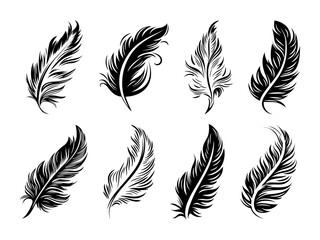 vector fluffy feather silhouette icon set isolated. design template of flamingo, angel, bird feather