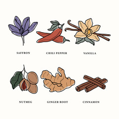 Line art herbs and spices collection