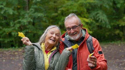 Wall Mural - Happy senior couple with autumn leaves in forest.