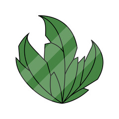 Poster - Vector icon of flower pot with green leaves. Green leaf icon with flowers on it. Abstraction of branches and leaves.