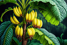 Banana Tree In Plantation Rain Forest With Bunch Of Ripe Yellow Bananas Growing On It. Generative AI