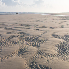 Wall Mural - cavalier seul sur une plage de sable à l'aube