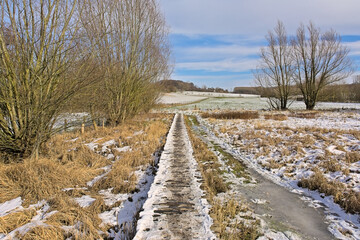 Wall Mural - Wooden walkway through a frozen marsh with snow and bare willow trees in Munkzwalm, Flanders, Belgium