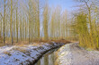 Zwalmbeek rivulet in a bare winter forest with snow on a sunny winter day in Munkzwalm, Flanders, Belgium