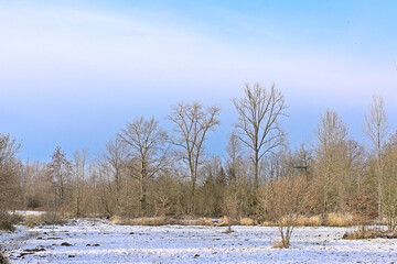 Wall Mural - Meadows covered in snow and bare trees on a sunny day in Flemish Ardennes Munkzwalm, Flanders, Belgium 