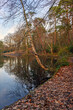 © Jonathan Wilson - One of the Keston Ponds on Keston Common near the village of Keston in Kent, UK. A cold winter scene with red leaves in the foreground.