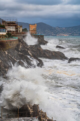 Wall Mural - Coastal Storm in Nervi