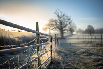 Country road ending with gate on a farm