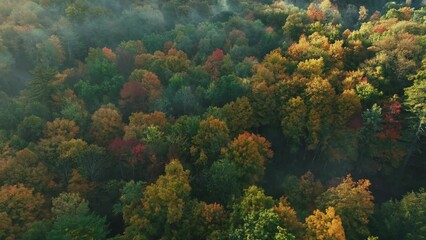 Sticker - Autumn foliage aerial view in Lake George with morning fog