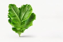 Fresh Vegetable Isolated On White. Lettuce Leaves Isolated On White Background. Lettuce For Salad. Generative AI