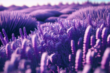 Closeup Of Purple Field Of Lavender Flowers. Generative AI