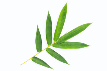  Bamboo leaf. Fresh green leaves on white background.