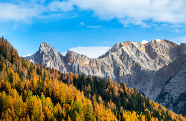 Wall Mural - autumn landscpae in the mountains