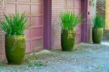 Three Vases Or Pots With Tropical Plants Near Bergundy Garage Doors With Leaves Fallen From Trees On Cement Driveway