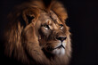 Portrait of a lion on a black background. generative ai