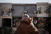 Rear View Of Adult Man Hugging Small Dog In Cemetery