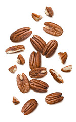 Wall Mural - Fresh pecans isolated on white background. Nuts scattered. Top view. Vertical layout.