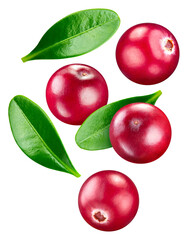 Sticker - Cranberry isolated on white background