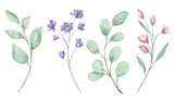 Fototapeta  - Flowers and branches leaves set. Watercolor digital floral illustration.