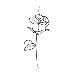 Wall Mural - Rose flower in continuous line art drawing style