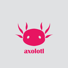 Illustration Of An Axolotl
