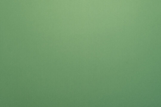 panorama de fond uni en papier vert pour création d'arrière plan.