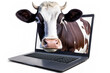 cow getting out from a laptop screen