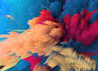 Colorful Explosion Graphic A Dynamic Smoke | Colorful Explosion | Explosion| Colorful | High Quality