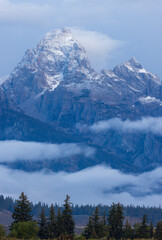 Sticker - Scenic Landscpae in Grand Teton National Park in Autumn