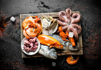 Wall Mural - Delicious fresh seafood on a wooden tray with ice.