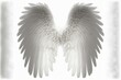  a white angel wings spread out in the air with a white background behind it and a white border around the wings of the wings is a square shape of a rectangle shape that has., generative ai