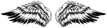 Bird Wings Illustration Tattoo Style. Hand Drawn Design Element.