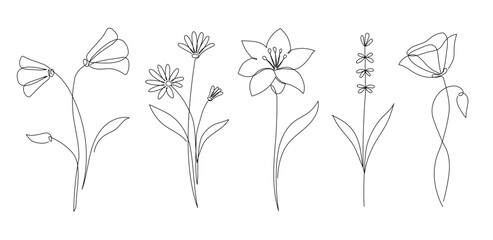Aufkleber - Flower set continuous outline style. Decoration flower, botanical floral element, blossom one line art for wedding, spring concept background. Vector illustration
