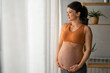 © Dorde - Beautiful pregnant Caucasian female holding hands on her baby belly, peacefully looking through the window at home.
