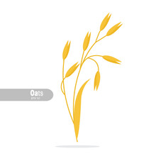 Illustration Of Oats Cereals Grain. Design Flat Isolated Vector On White Background
