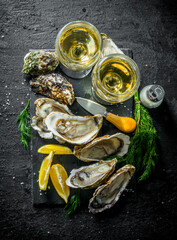 Sticker - Seafood. Oysters with white wine, spices and sliced lemon.