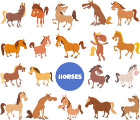 Canvas Print - cartoon horses and ponies farm animal characters big set