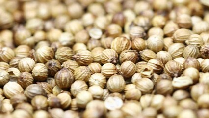 Poster - a large pile of natural dried coriander in a pile. camera movement horizontal
