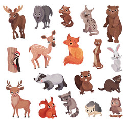 Wall Mural - Forest Animals as Wild Fauna with Elk, Wolf, Bear, Fox and Raccoon big Vector Set