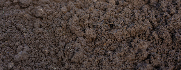 Wall Mural - Photos of soil for planting. Organic soil. Rich soil background image. Top down view on full frame of bare soil for nature background about gardening.