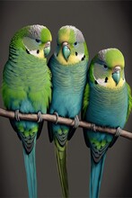 Green Parakeet Bird Illustration Made With Generative AI