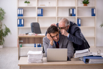 Wall Mural - Two male colleagues working in the office