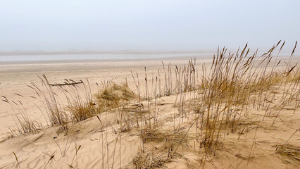 beautiful sandy seashore in fog