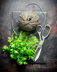 Canvas Print - Parsley grown in the home garden.