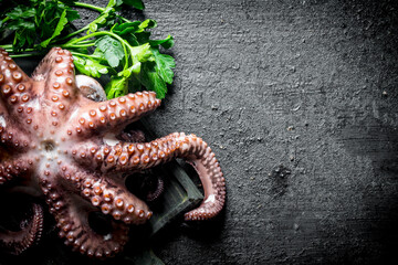 Sticker - Fresh octopus with herbs.