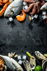 Canvas Print - Healthy diet of seafood on ice.