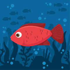 red fish underwater