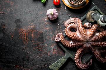 Wall Mural - Octopus on a cutting Board with garlic and spices.